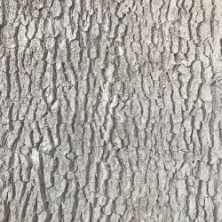 CamoHide Oak