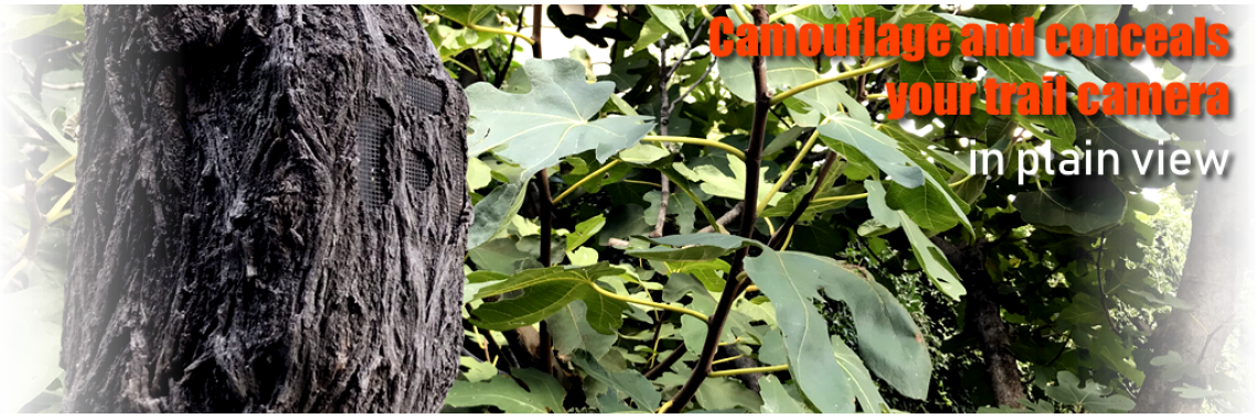 CamoHide1